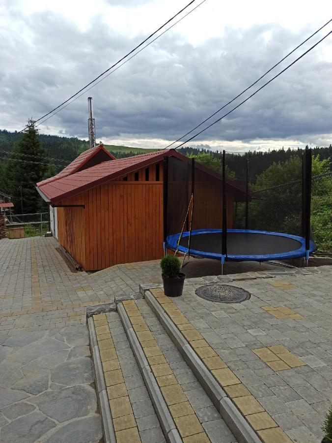 Brand New 2020 Specious Apartment Druzi 2 Palyanytsya Exterior foto