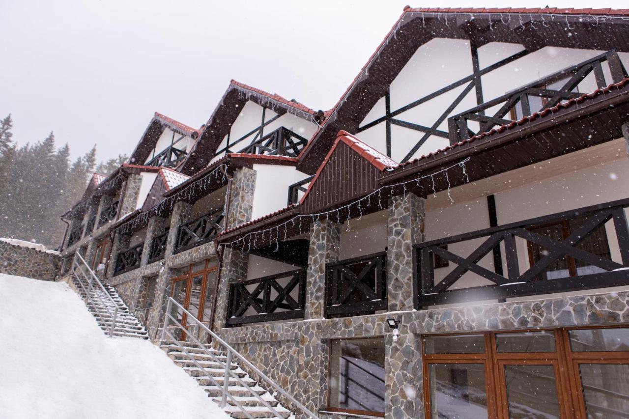 Brand New 2020 Specious Apartment Druzi 2 Palyanytsya Exterior foto